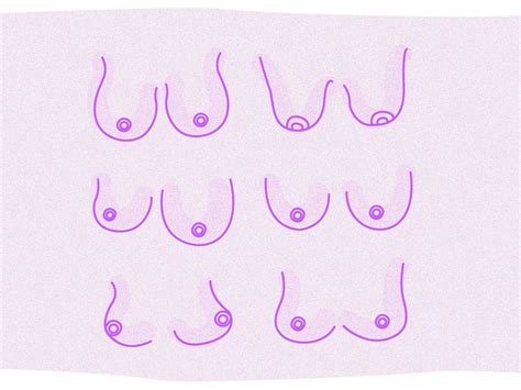 perfect boobies|The 12 Different Breast Shapes and Types